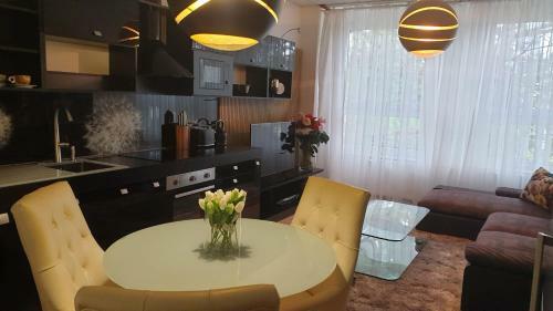Kv?tinov� Apartm�n V Chomutov?