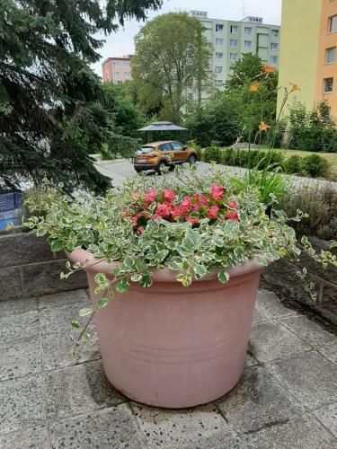 Kv?tinov� Apartm�n V Chomutov?
