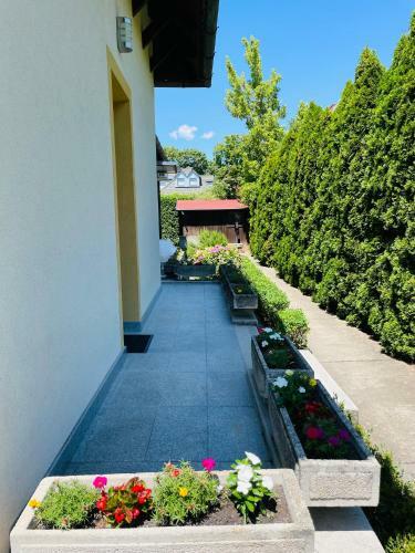 Apartamento Mikes Deluxe Home