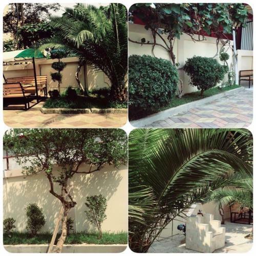 Gonio Beach Hotel