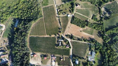 Apartamento Lelle Vineyard Cottages