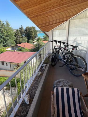 Apartment Bor?i