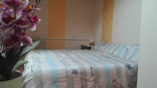 Barakah Farm & Apartman