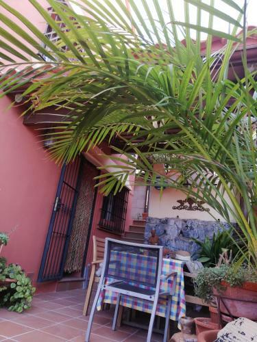 Tess Casa Buenavista