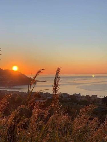 B&B Formula Roulette Agropoli City Antonucci Group