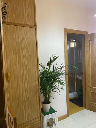 Apartamento Guest House Del Sol