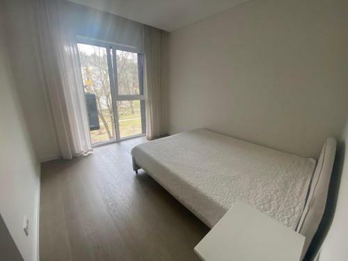 Birstonas Holidays Apartment