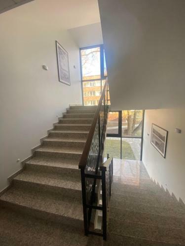 Birstonas Holidays Apartment