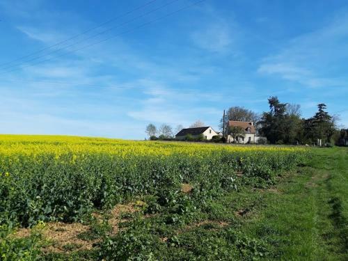 Bed & Breakfast Maison Chemin, Chambres D'h�tes � Amboise