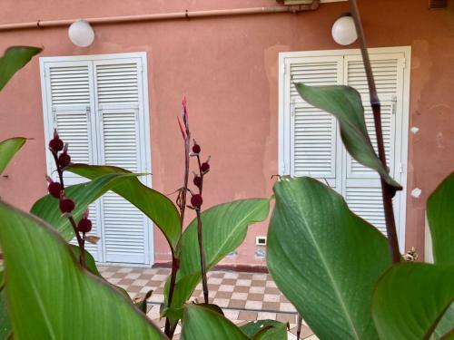 Apartamento Chez Doudou Peaceful Oasis Betw Gallinara E Romana