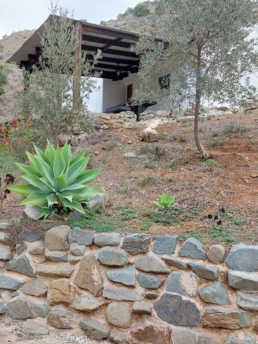 Morales Cottage