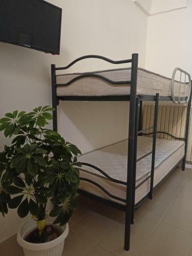 Apartamento Palazzo Monte Home