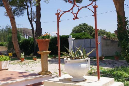 Il Giardino Del Barone