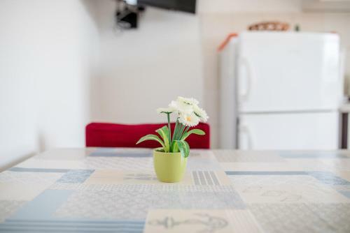 Hostal Apartments Mladenka In Banjol