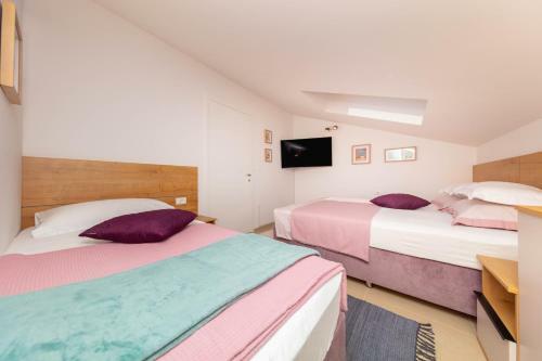 Apartman Violet