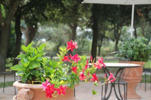 Hotel Rurale Cannevi�