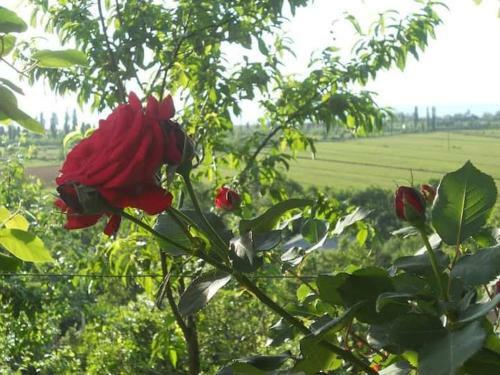 Apartamento Tsikhisdziri Kobuleti