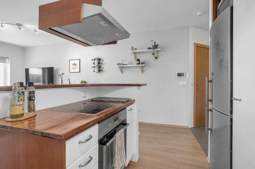 Downtown Reykjav�k Apartment - Amazing Garden View