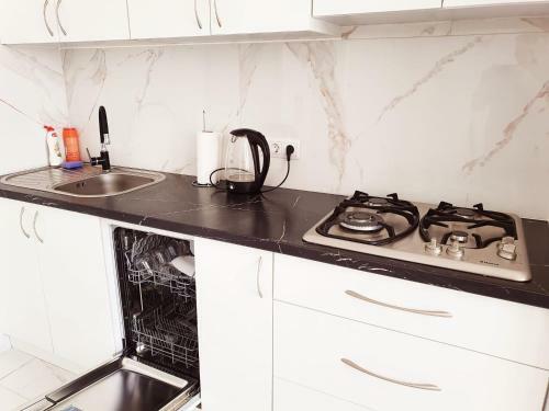 Apartament Lux Telecentru