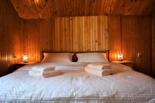 Srna Chalet