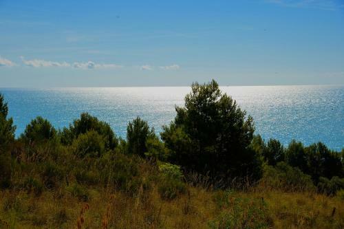 Apartamento Il Gelsomino