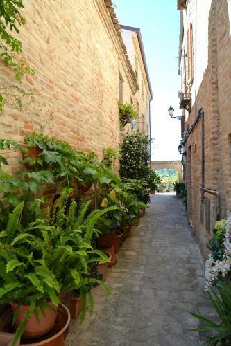 Apartamento Il Gelsomino