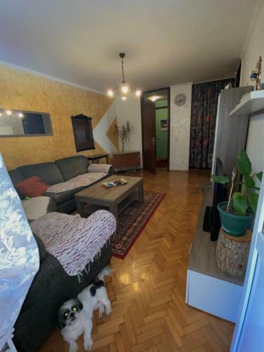 Apartamento Stan Na Dan Bar-cg