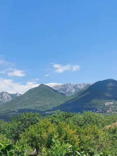 Danin Apartmani
