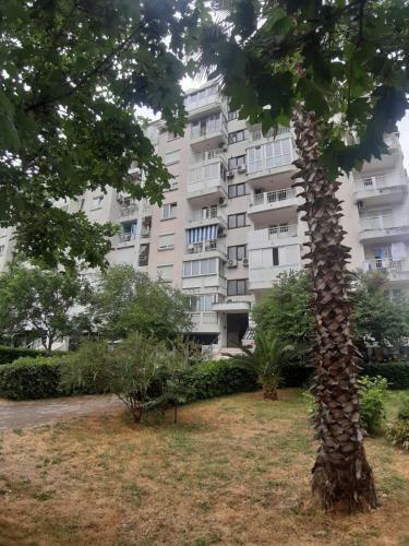 Apartamento Carpe Diem
