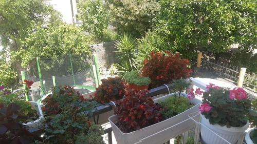 Apartman Lana