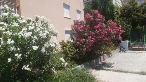 Apartman Lana