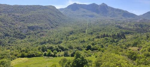 Sotoni?i Home