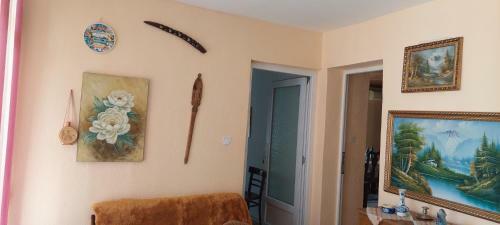 Sotoni?i Home
