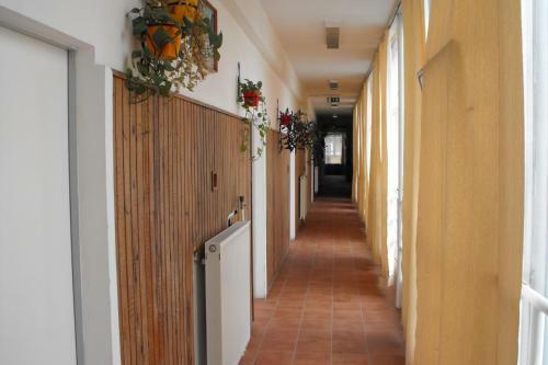 Pannonia Hostel