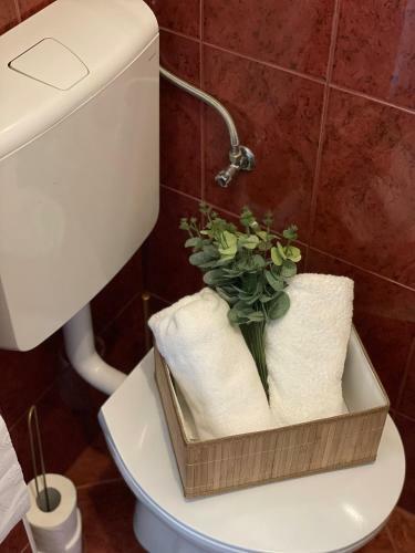 Apartmani Mario Biograd Na Moru