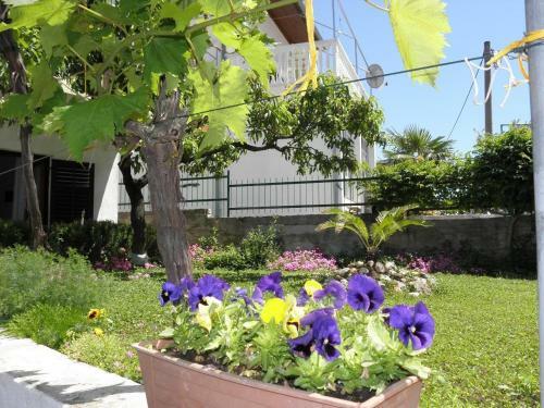 Apartment Mare1 - Close To The Sea