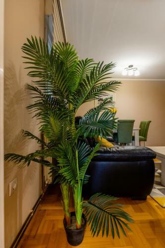 Apartman Perovi?