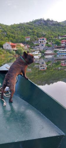 Apartamento Old House, Skadar Lake
