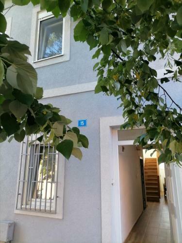 Apartmani 15