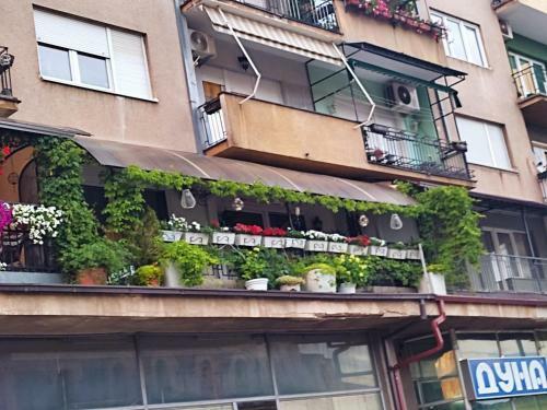 Magic Apartment