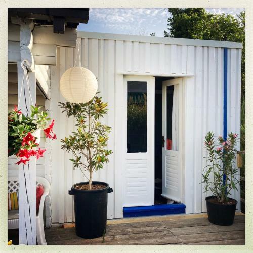 Lodge Roseaux Sauvages