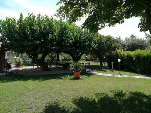 Gli Ulivi Del Conero