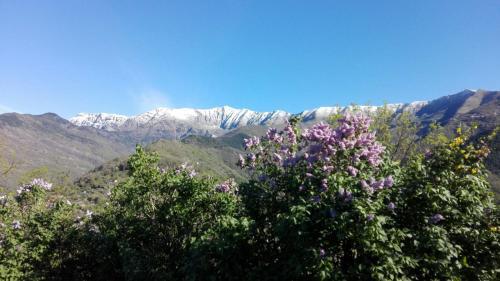 Hostal C� Di Brigaschi