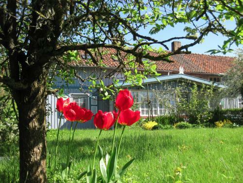 Apartamento Urlaub Balticum
