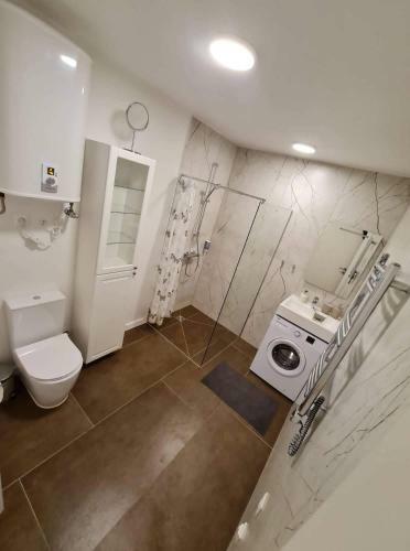 Apartamentai Gintaro Takas