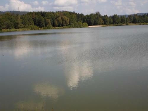 Camping Les Pinasses