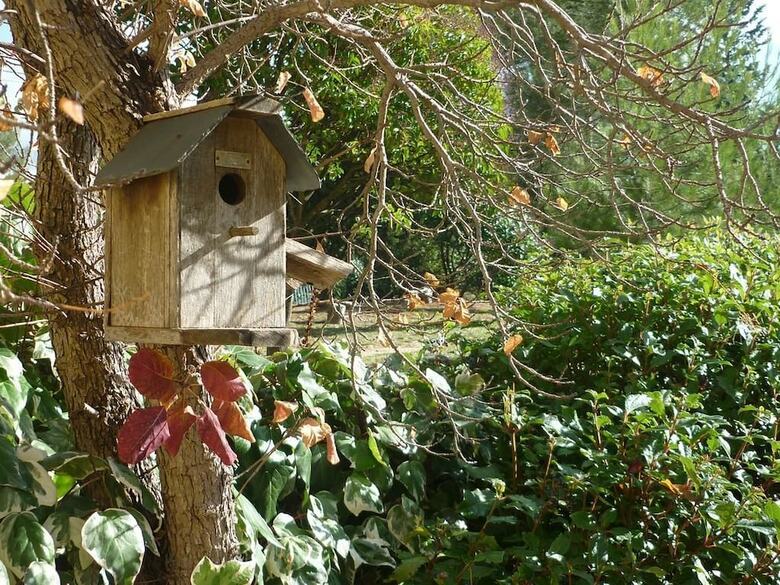 Bed & Breakfast Le Mas Des Aludes