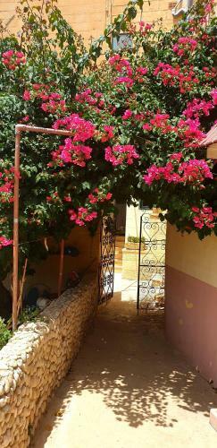 B&B Seaview Terrace