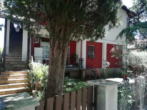 Pine Apartment