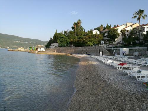 Apartman Savina